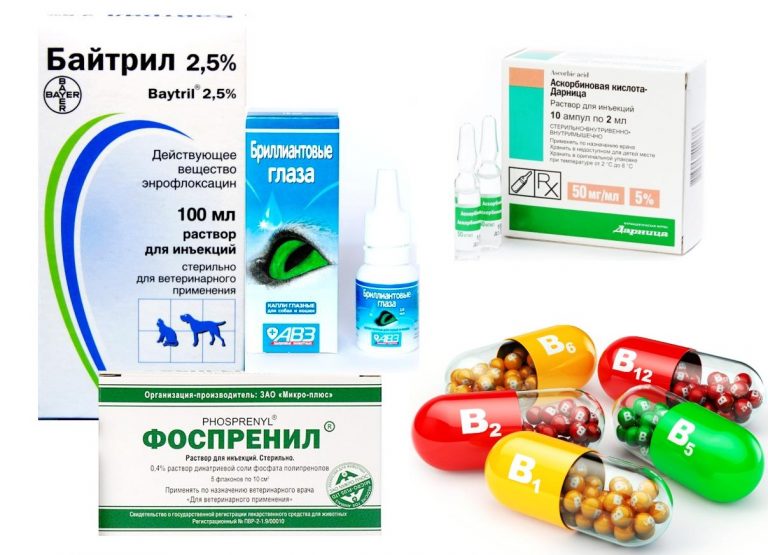 Ветеринарное лекарство байтрил 2,5%: инструкция по применению - вет-препараты