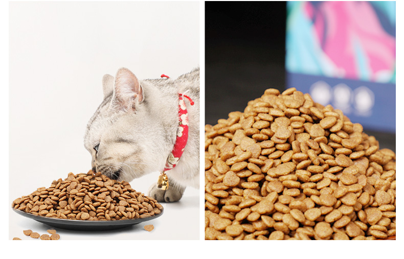 Чем отличается корм для стерилизованных кошек/кастрированных котов от обычного?