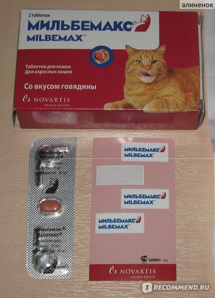 Мильбемакс для кошек — инструкция по применению препарата для борьбы с глистами у кошки