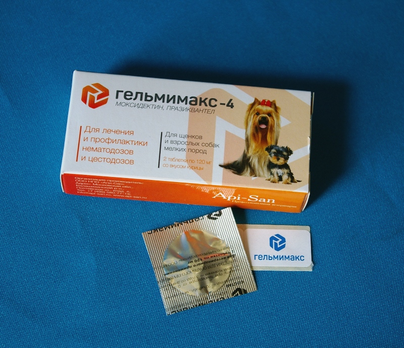 Гельмимакс для собак: инструкция по применению, особенности использования антипаразитарного препарата