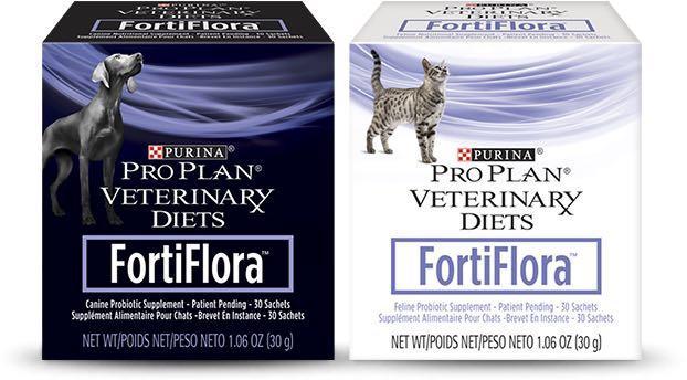 Фортифлора для собак: инструкция по применению пробиотика