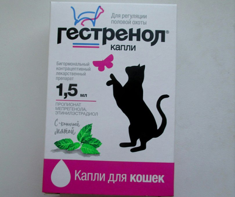 Топ 5 противозачаточных таблеток для кошек