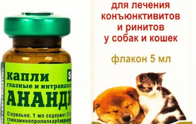 Анандин (капли, раствор) для кошек и собак | отзывы о применении препаратов для животных от ветеринаров и заводчиков