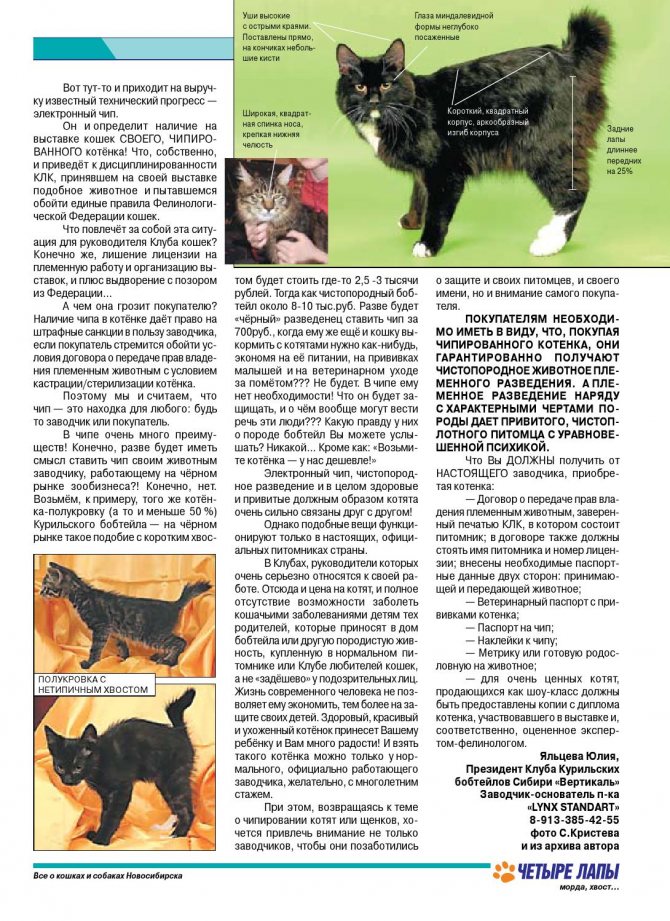 Кота придет время: маркировать животных за свой счет россиян обяжут с 2021-го