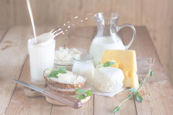 Можно ли хомякам молоко, творог, сметану, кефир и прочие молочные продукты (молочные продукты для джунгарских и сирийских пород)