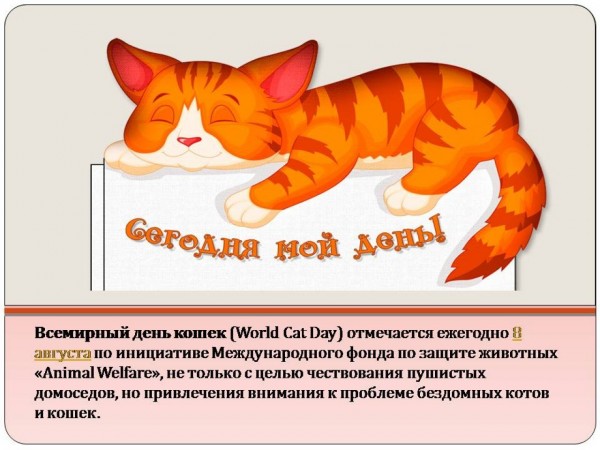 Всемирный день кошек | что вы знаете о нем и празднуют ли ваши котики?
