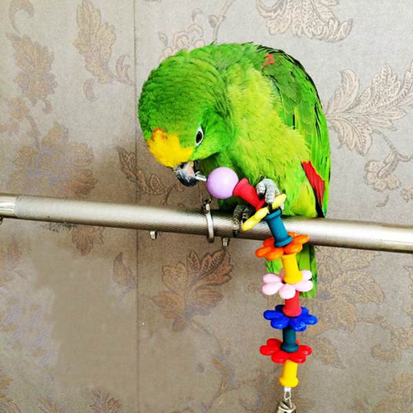 Как сделать игрушки для волнистых попугаев
