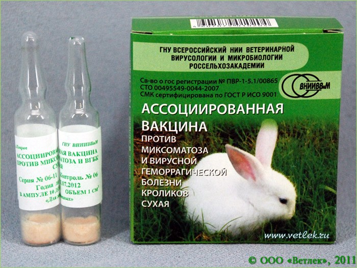Прививки кроликам от миксоматоза и вгбк: инструкция, дозировка