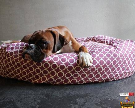 Лежак для собаки своими руками: 12 пошаговых вариантов