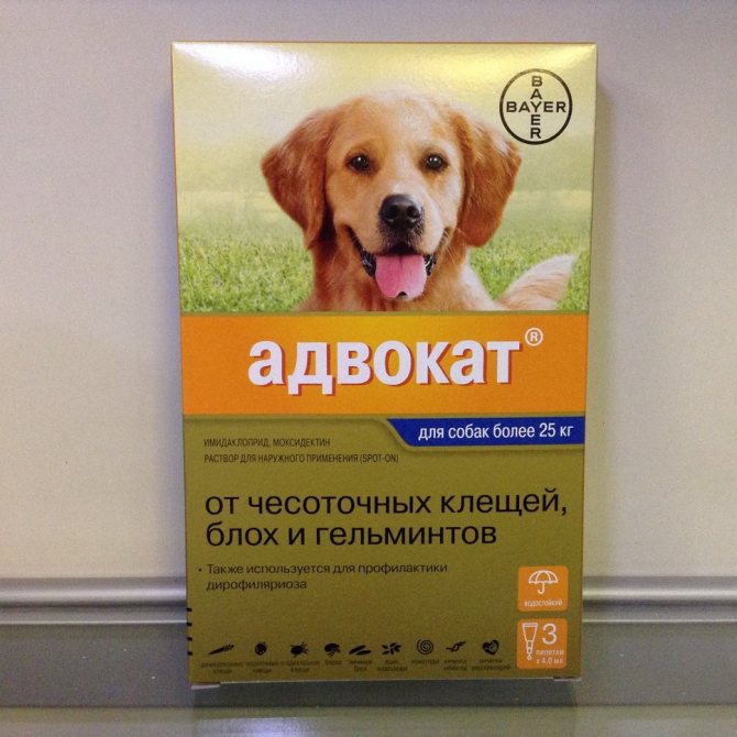 Капли адвокат от клещей, блох и гельминтов для собак весом до 4 кг - 3 пипетки