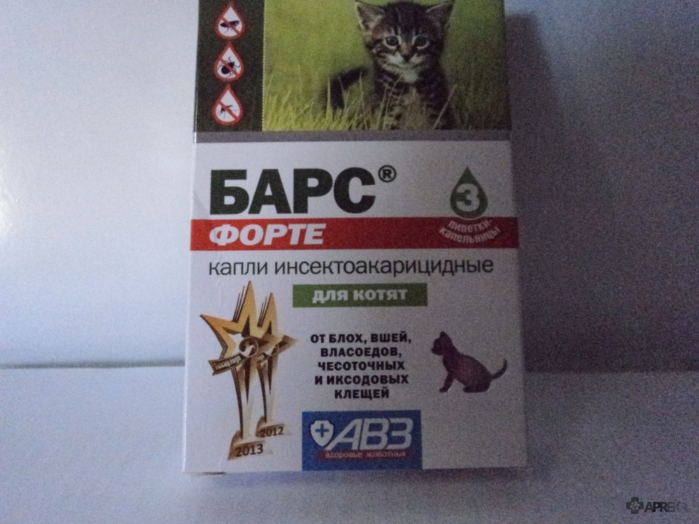 Способ применения капель барс для кошки против блох и клещей: обзор инструкции