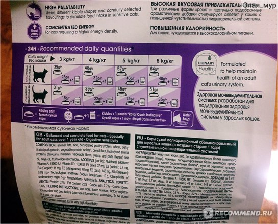 Роял канин для кошек – особенности влажного и сухого корма, предназначенных для разных животных