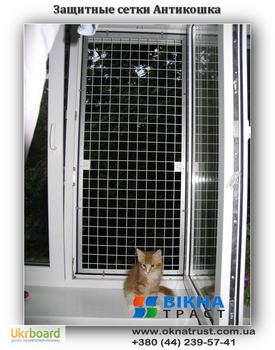 Сетка «антикошка» (56 фото): москитное полотно на окна для кошек и решетки для защиты котов «антикоготь», изготовление защитных приспособлений и установка своими руками на деревянные оконные проемы