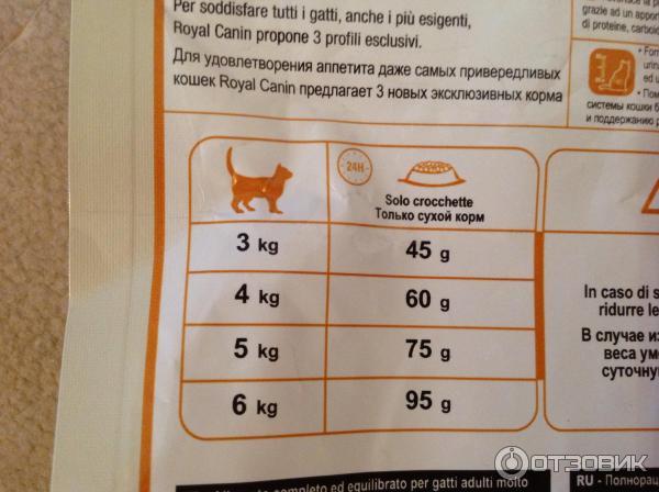 Можно ли есть кошачий корм человеку, если он жидкий или сухой