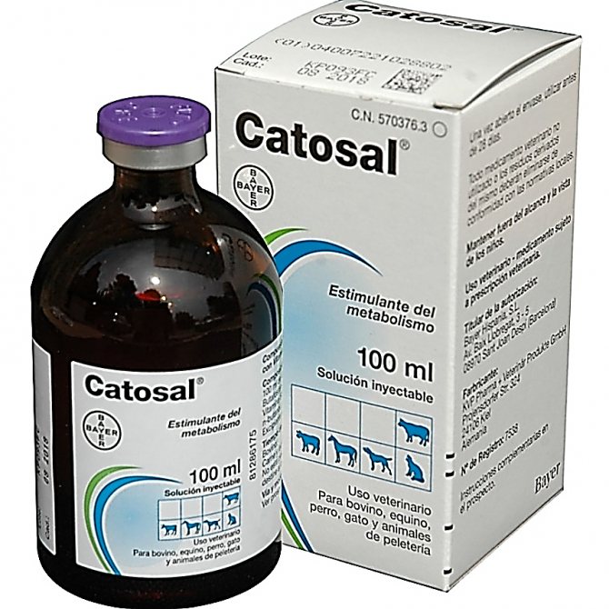 Особенности применения катозала при различных заболеваниях у кошек