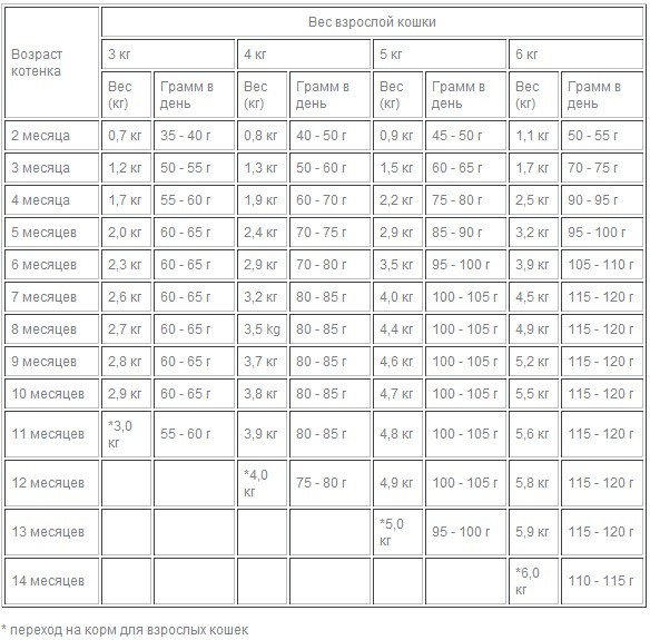 Сколько раз кот. Таблица кормления котят до 2 месяцев. Норма корма для котенка 3 месяцев. Вес котенка по месяцам таблица британец. Нормы кормления котят.