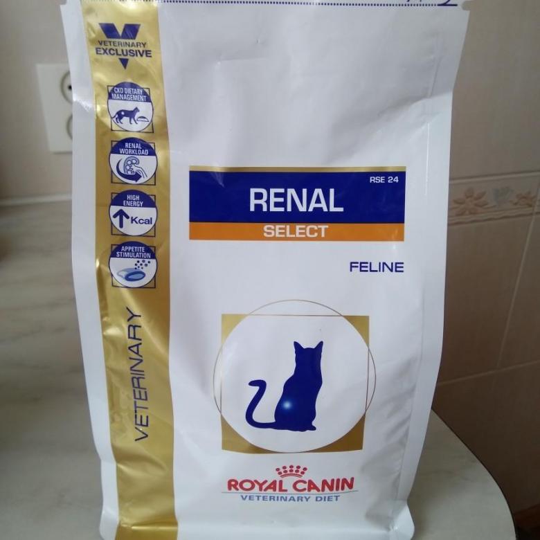 Инструкция по применению и обзор кормов ренал от royal canin для котов