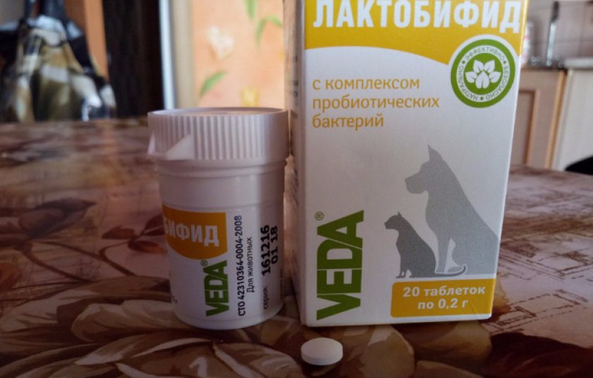 Пробиотики для собак для пищеварения мелких, средних и крупных пород