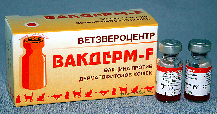 Вакцина для собак, кошек, пушных зверей и кроликов микродерм против дерматофитозов, 4 ампулы