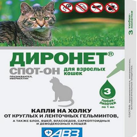 Диронет спот он для кошек - инструкция по применению - kotiko.ru