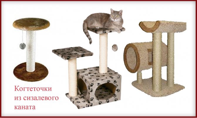 Как сделать домик для кошки своими руками: лучшие конструкции и пошаговая инструкция по их постройке