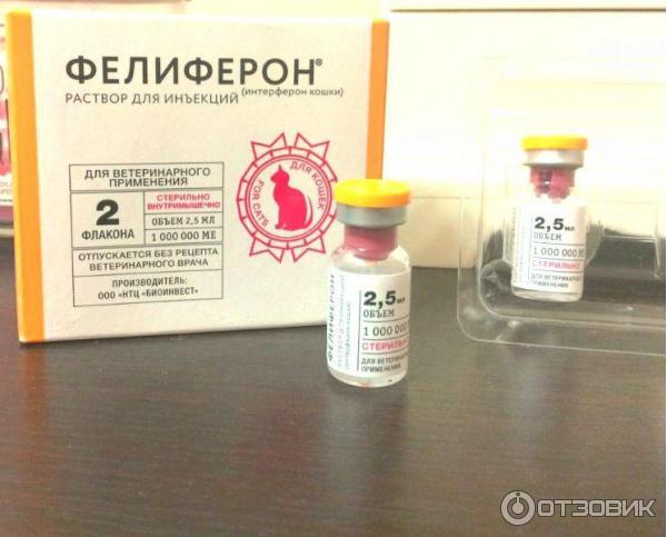Препарат фелиферон - первый российский препарат интерферона кошки