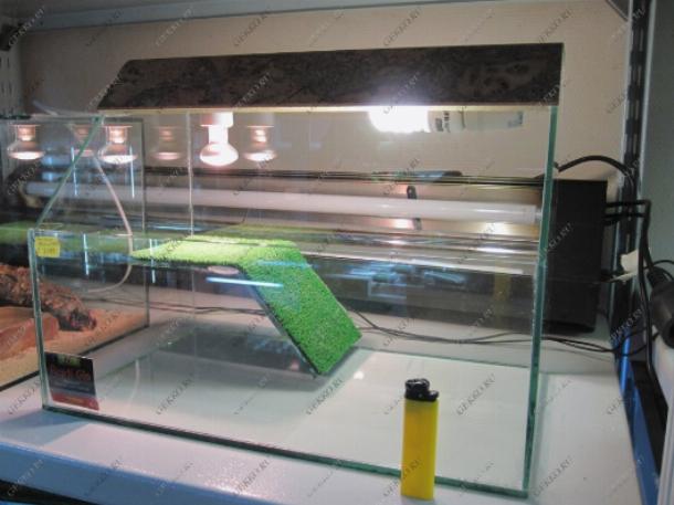 Обогреваем террариум для черепах с помощью ультрафиолетовой лампы