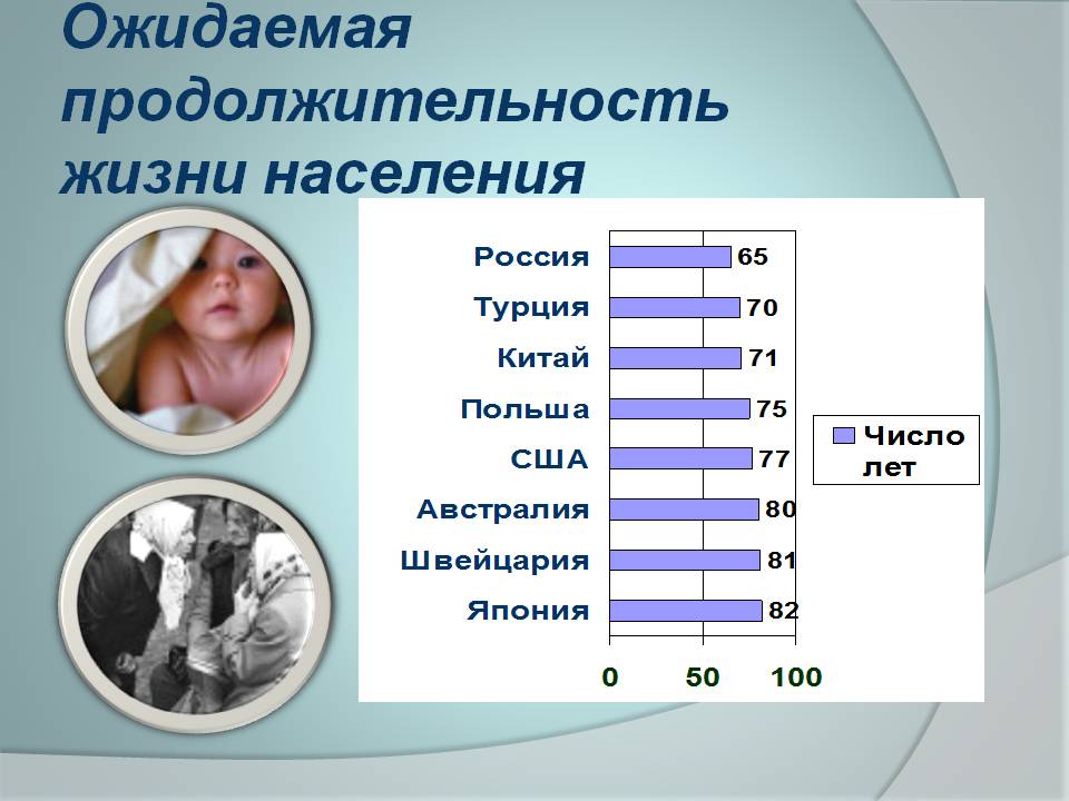 Продолжительность жизни русских, английских спаниелей: факторы долголетия
