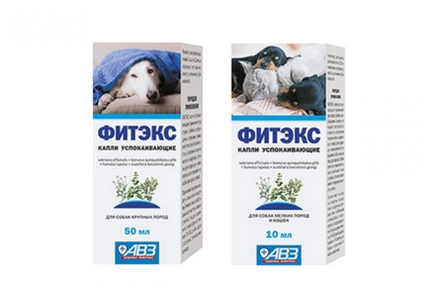 Фитекс (капли) для кошек и собак | отзывы о применении препаратов для животных от ветеринаров и заводчиков