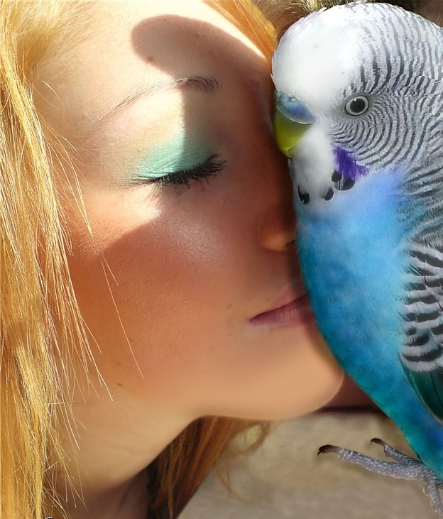 Как научить попугая разговаривать: советы и рекомендации