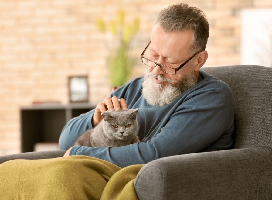 Какие болезни умеют лечить кошки? - медицинский портал eurolab