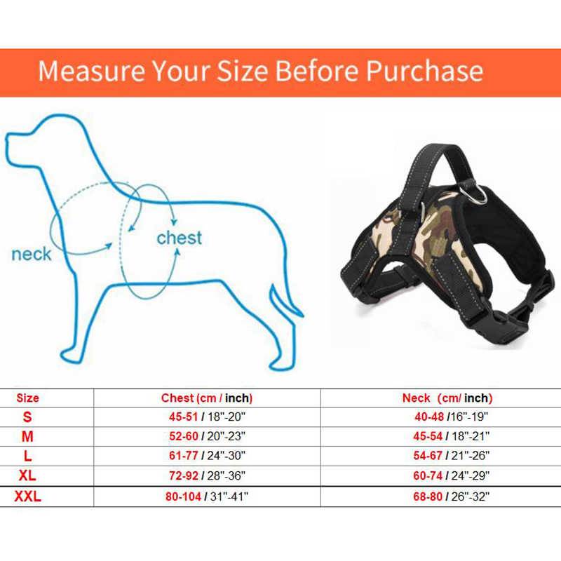 Рекомендации по выбору оптимальной шлейки для собачки: подбор размера