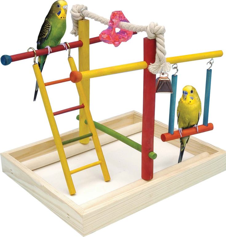 Игрушки для попугаев: качели, копошилки, все виды