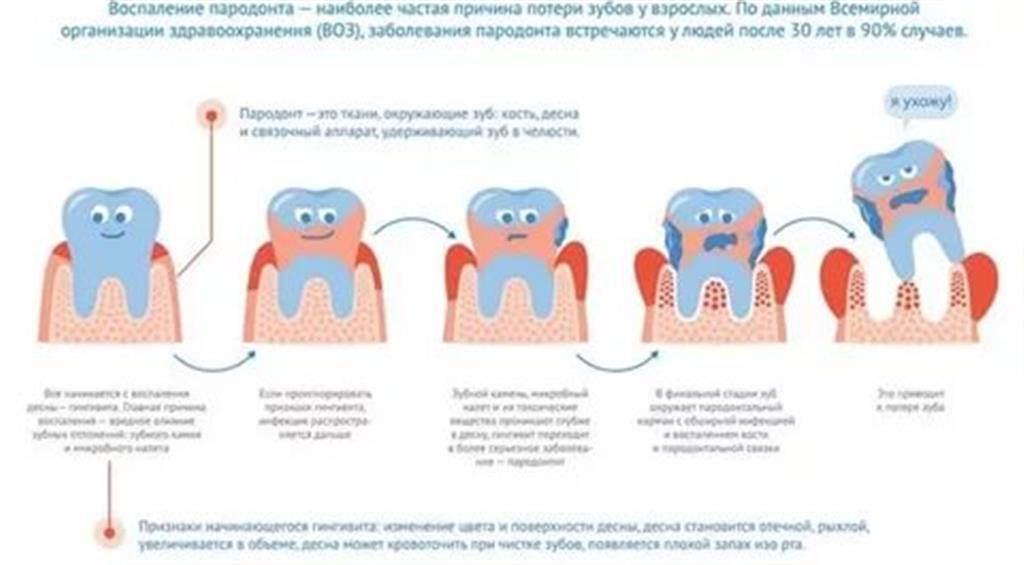 Кожные болезни кошек - симптомы и лечение