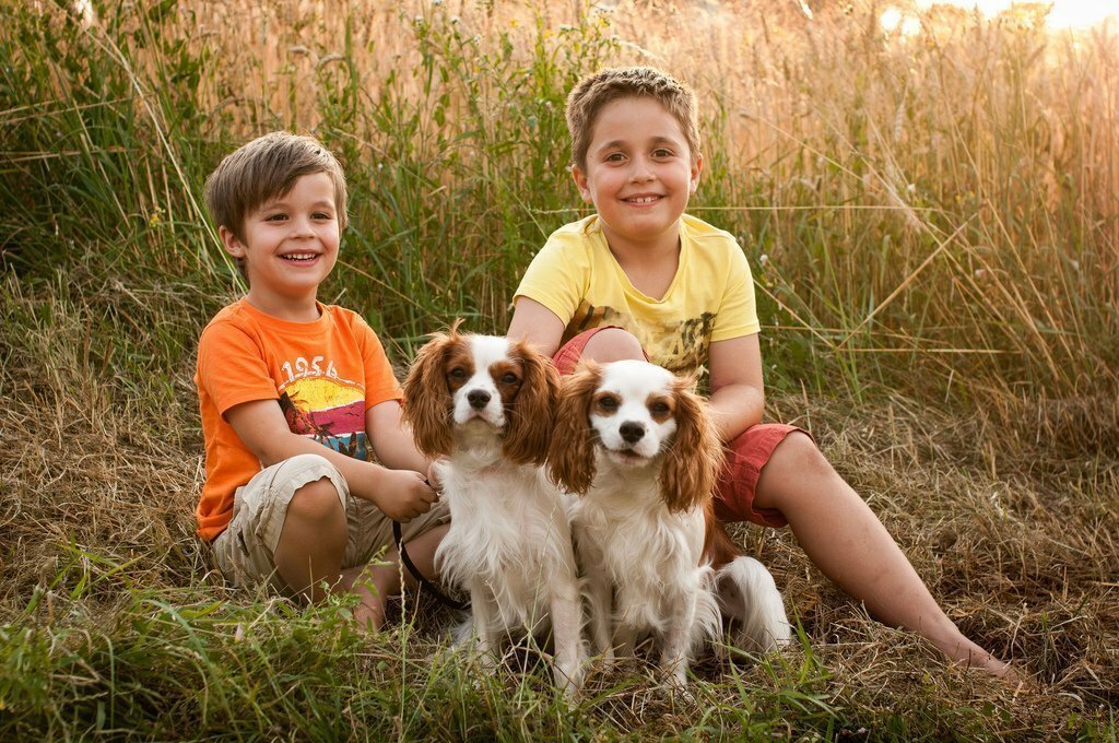 Топ-15 – лучшие семейные породы собак