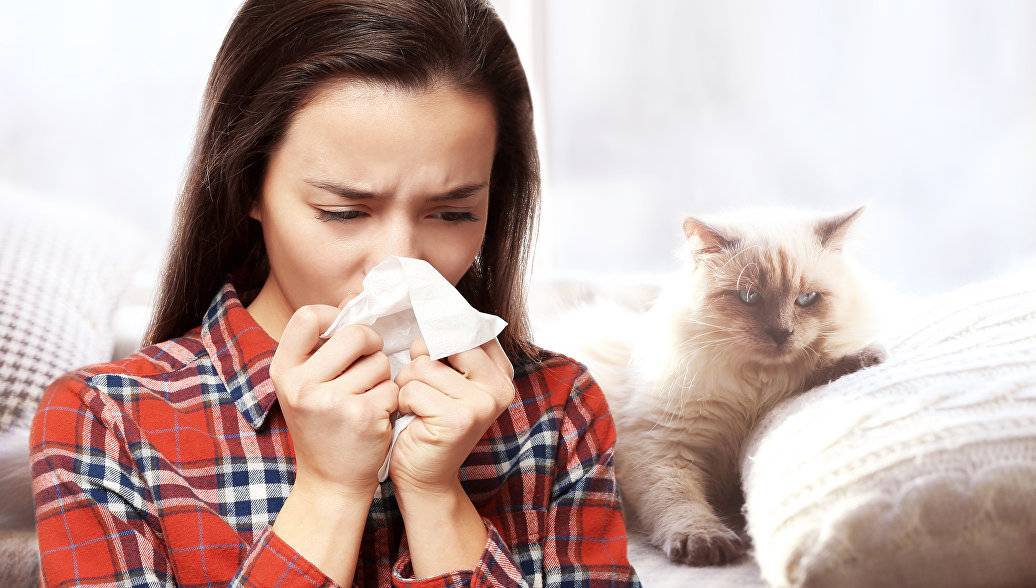 Аллергия на животных  - симптомы, причины, профилактика и лечение