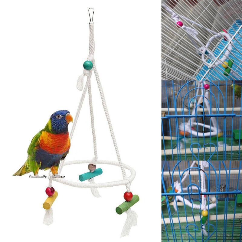 Как играть с волнистым попугаем. как можно играть с волнистым попугайчиком? польза игр с волнистыми попугаями