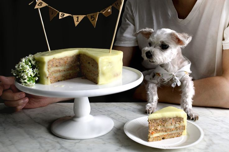 Как приготовить торт на именины собаки - wikihow