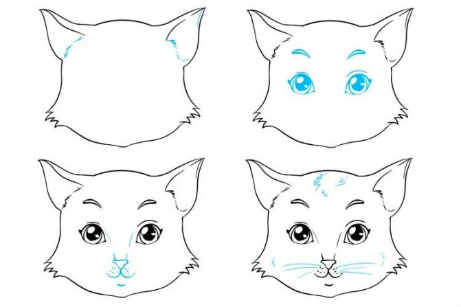 Как легко нарисовать красивую кошку простым карандашом поэтапно для начинающих: фото и картинки красиво нарисованных кошек карандашом, а также видео мастер-классы