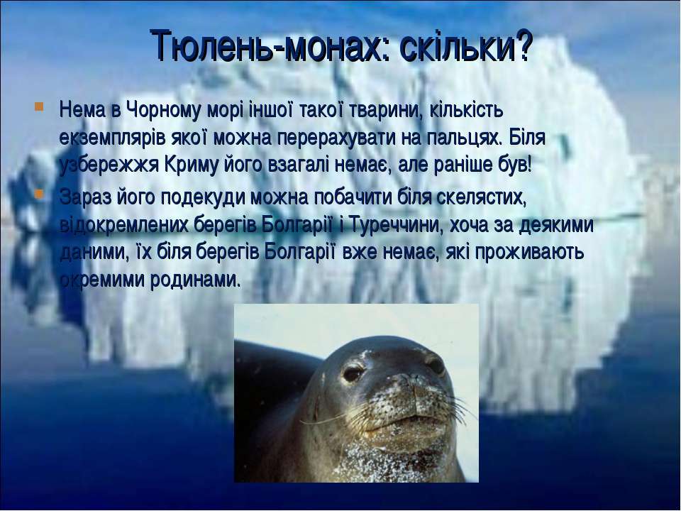 Тюлень животное. описание, особенности, виды, образ жизни и среда обитания тюленя | живность.ру