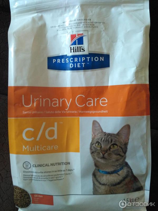 Корм для кошек при мочекаменной болезни, нюансы лечебного питания питомца с мкб, особенности кормления натуральной пищей