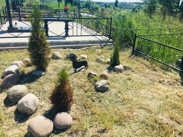 ᐉ можно ли хоронить животных на человеческом кладбище – похороны кошек - zoomanji.ru