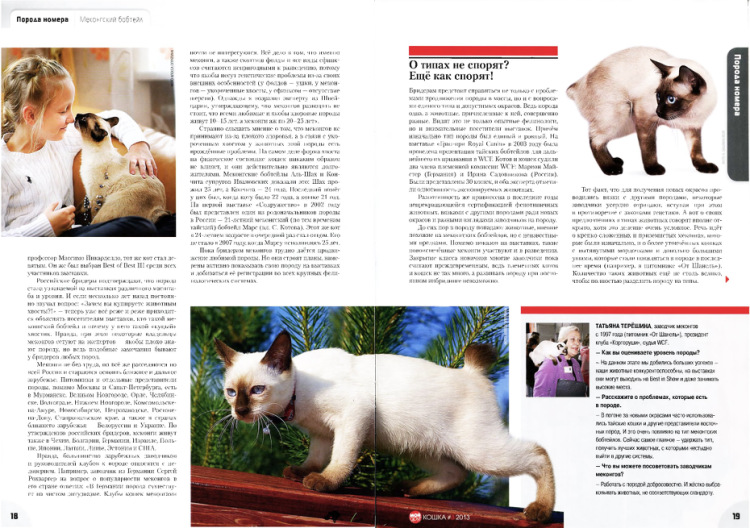 Меконгский бобтейл - фото кошки, описание породы, характер, цена, отзывы