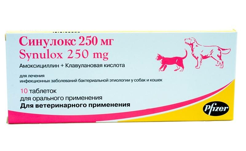 Синулокс для собак обеспечит защиту от инфекций