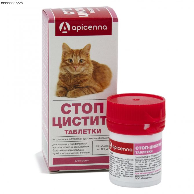 Стоп-цистит (суспензия) для кошек и собак | отзывы о применении препаратов для животных от ветеринаров и заводчиков