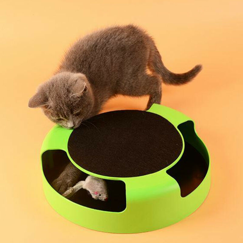 Игрушки для кошек: 110 фото лучших моделей игрушек 2019 года