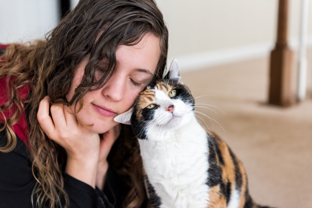 Как подготовиться к появлению кошки в доме: 10 полезных советов