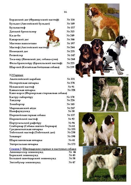 Классификация пород собак по мкф, что такое мкф - petstory
