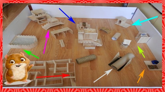 Самодельные игрушки для хомяка своими руками. как сделать лестницу для хомяка