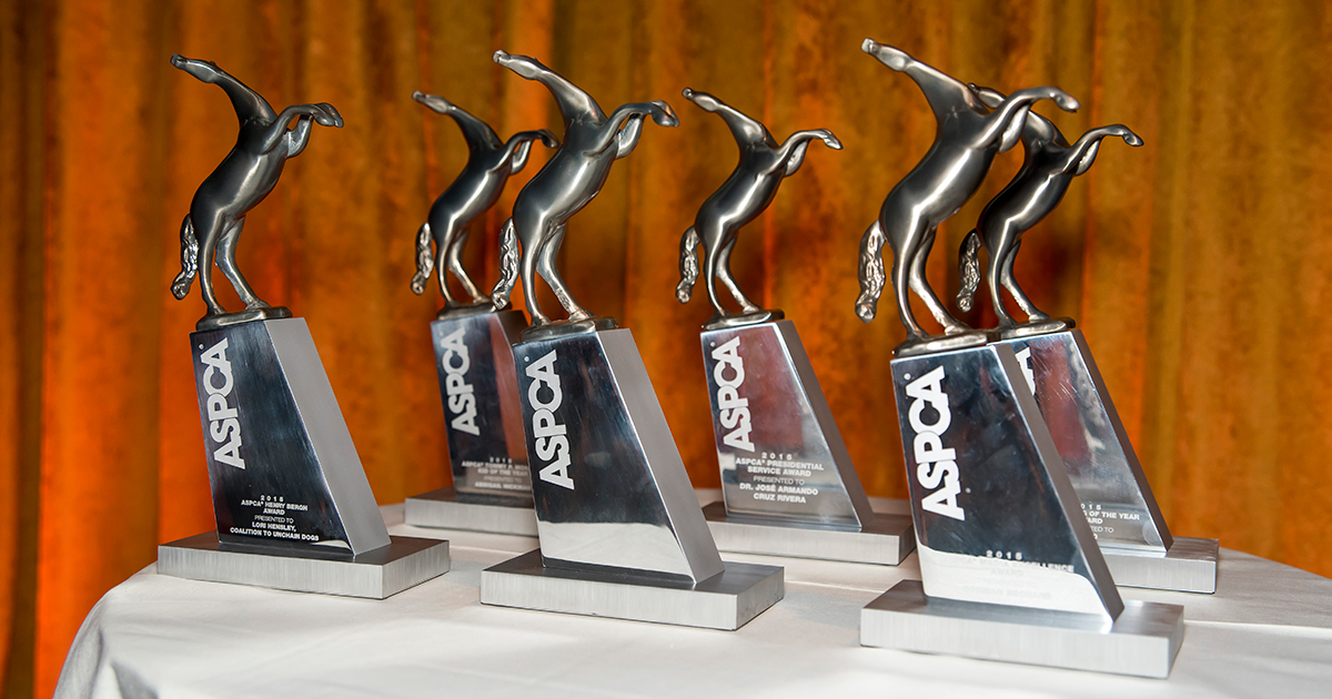 Победители ежегодной  ceva animal welfare awards объявлены!